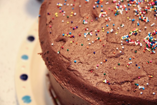 MadieHarris_shallowdepth_1080