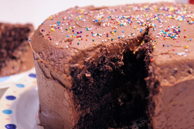 MadieHarris_shallowdepth_2_1080